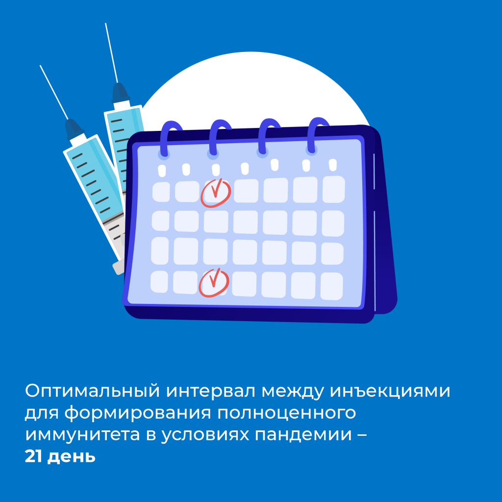 210505_vkr-06.png